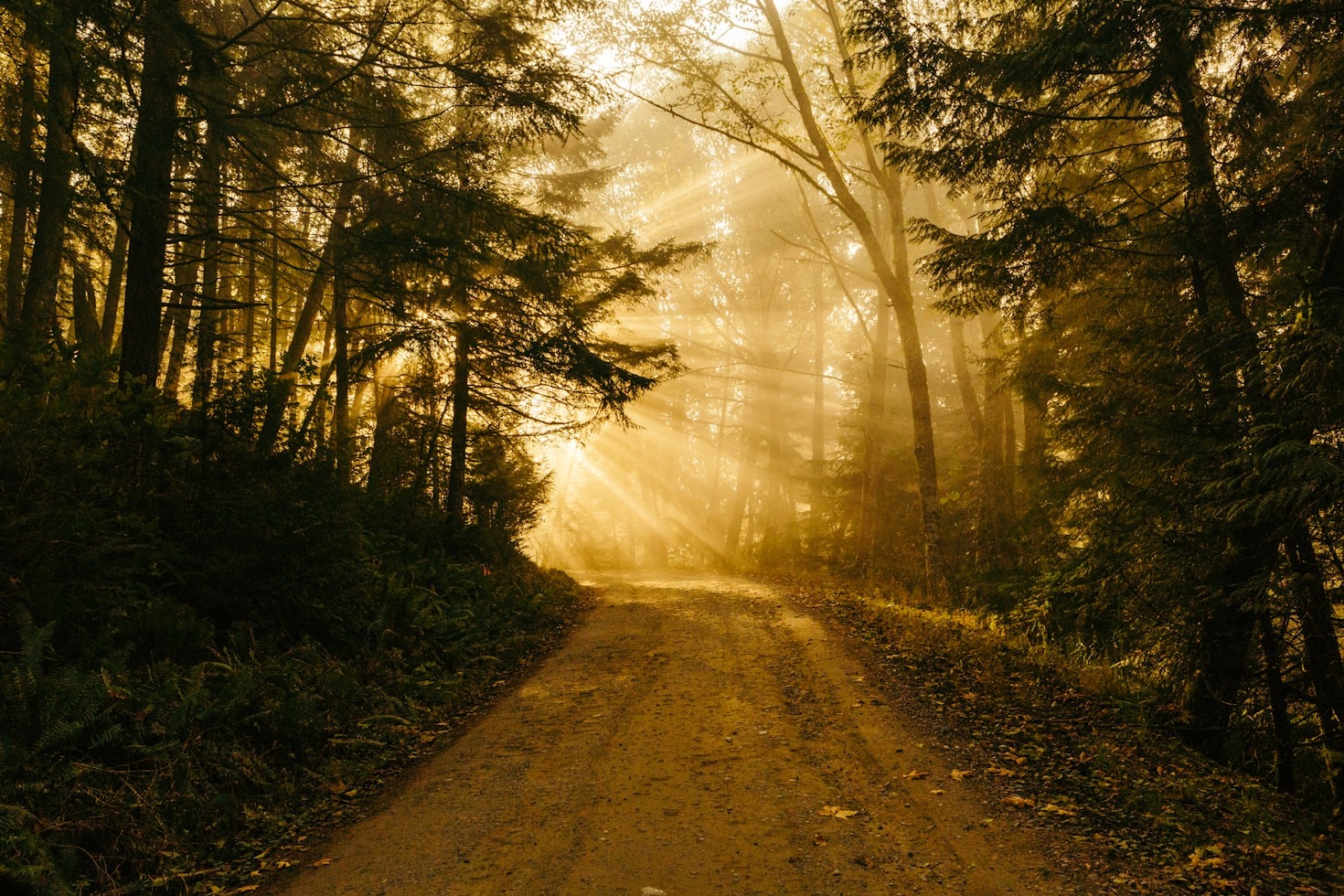 Unlocking Potential: Tools for Soul Remembrance