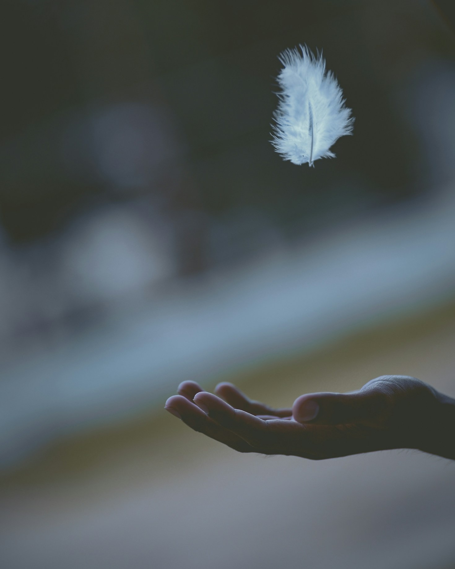The Path to Aligning with Your Highest Self